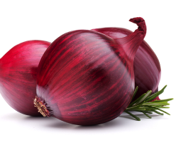 Onion